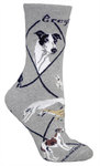 Greyhound on gray PH989