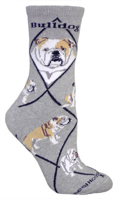Bulldog on gray PH988