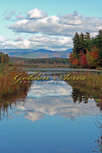 Berry Pond