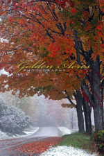 Early Snow 2009
