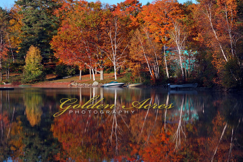 Kolelmook Pond 2009 #3