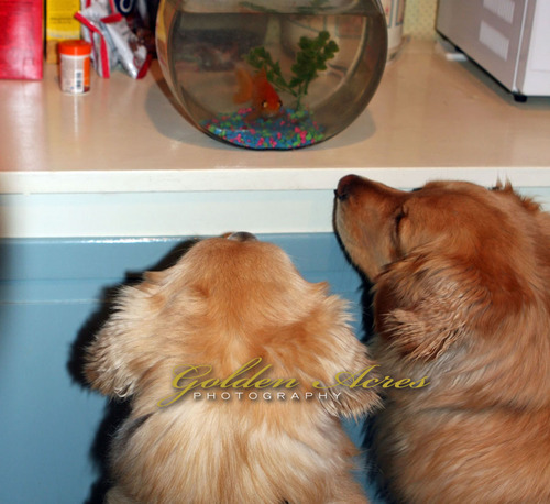 Gone Fishin'