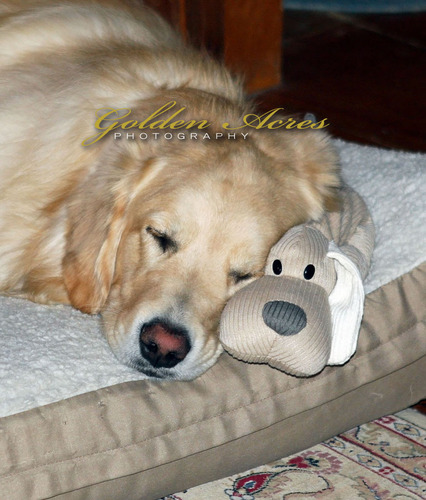 Snoozin' with my Buddy