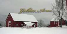 December on the Farm
