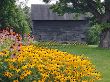 Summer Barn