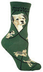 Border Terrier on hunter PH990