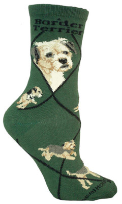 Border Terrier on hunter PH990
