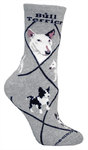Bull Terrier on gray PH1006