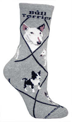 Bull Terrier on gray PH1006