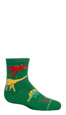 Child Colorful Dinos on green PH1005s