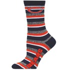 Chicago Bears Team Stripe 510