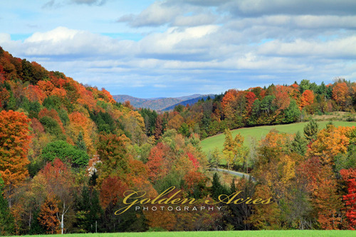 Autumn on Sugar Moon Hill, Woodstock, VT