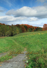 Field of dreams