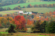 Peacham, VT #69