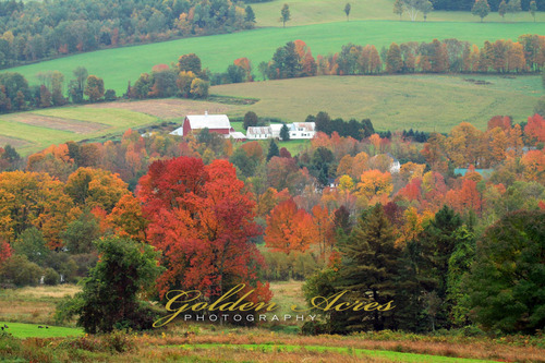 Peacham, VT #69