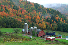 Hillside Acres Farm