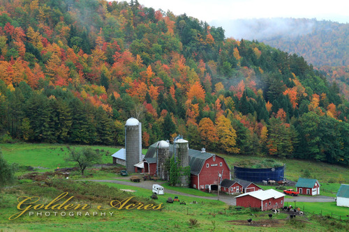 Hillside Acres Farm