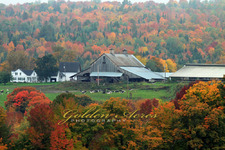 Peacham, VT #65