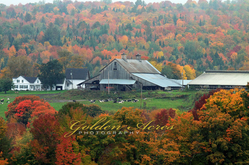 Peacham, VT #65
