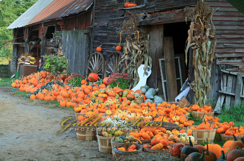 Piermont Farm