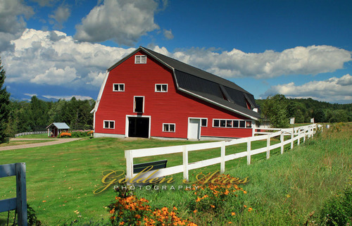 Sherman Rd Farm