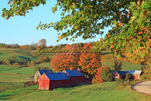 Jenne Farm 2010