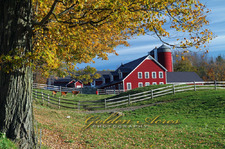 Spring Brook Farm