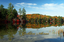 Loon Pond 2010 #107