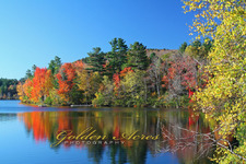 Kolelemook Pond 2010 #2