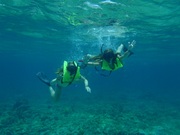 Check out our photo gallery