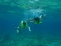 Virgin Islands Service