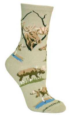 Moose, Wild PH479