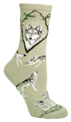 Wolf, Gray PH478