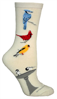 Songbirds on natural LW559
