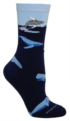 Whales on navy LW542
