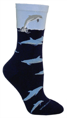 Dolphins on navy LW560