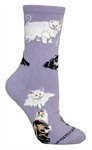 Persian Cats on light purple PH1012