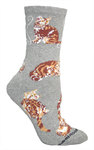 Tabby, Orange on gray PH1022