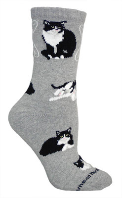 Tuxedo Cats on gray PH1024