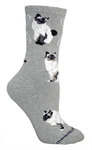 Birman Cats on gray PH1026