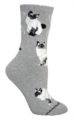 Birman Cats on gray PH1026