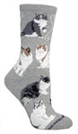 Ragamuffin Cats on gray PH1027