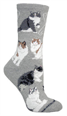Ragamuffin Cats on gray PH1027