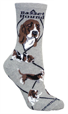 Basset Hound on gray PH1059