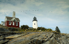 Pemaquid Light #5327