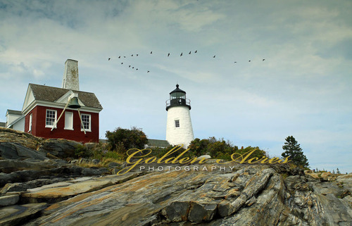 Pemaquid Light #5327