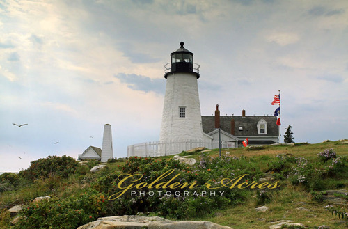 Pemaquid Point Light #5240