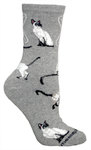 Siamese on gray PH1025