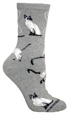 Siamese on gray PH1025