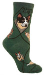 Australian Cattle Dog on hunter PH1046